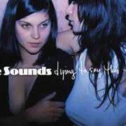 Le texte musical MUCH TOO LONG de THE SOUNDS est également présent dans l'album Dying to say this to you (2006)