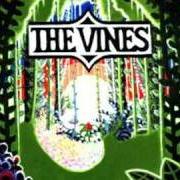 Le texte musical SUNSHININ de THE VINES est également présent dans l'album Highly evolved (2002)