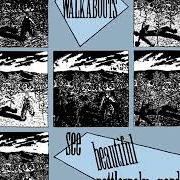 Le texte musical WHO-KNOWS-WHAT de THE WALKABOUTS est également présent dans l'album See beautiful rattlesnake gardens (1988)
