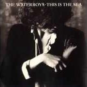 Le texte musical IT SHOULD HAVE BEEN YOU de THE WATERBOYS est également présent dans l'album The waterboys (1983)