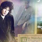 Le texte musical LET THE EARTH BEAR WITNESS de THE WATERBOYS est également présent dans l'album An appointment with mr. yeats (2013)