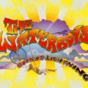 Le texte musical EVERYBODY TAKES A TUMBLE de THE WATERBOYS est également présent dans l'album Book of lightning (2007)