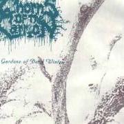 Le texte musical WHEN THE SUNLIGHT FADES de THORNS OF THE CARRION est également présent dans l'album The gardens of dead winter (1995)