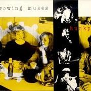 Le texte musical NO PARACHUTES de THROWING MUSES est également présent dans l'album Hunkpapa (1990)