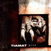 Le texte musical LUCIENNE de TIAMAT est également présent dans l'album Amanethes (2008)