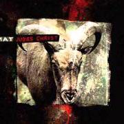 Le texte musical TOO FAR GONE de TIAMAT est également présent dans l'album Judas christ (2002)