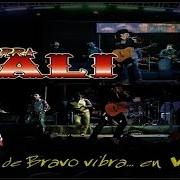 Le texte musical DONDE QUIERA QUE ESTÉS de TIERRA CALI est également présent dans l'album Valle de bravo vibra... en vivo (2013)