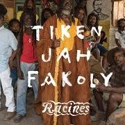 Le texte musical ZIMBABWE de TIKEN JAH FAKOLY est également présent dans l'album Racines (2015)