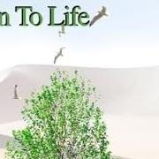 Le texte musical IT'S XMAS MORNING de TIMO TOLKKI est également présent dans l'album Hymn to life (2002)