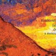 Le texte musical CAN YOU BLAME THE SKY? de TINDERSTICKS est également présent dans l'album Falling down a mountain (2010)