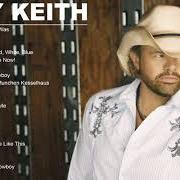 Le texte musical GET DRUNK AND BE SOMEBODY de TOBY KEITH est également présent dans l'album 35 biggest hits (2008)