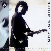 Le texte musical FOR OL' TIMES SAKE de TONY JOE WHITE est également présent dans l'album The best of tony joe white (1993)