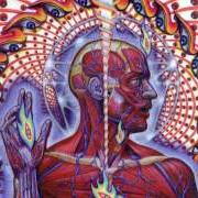 Le texte musical REFLECTION de TOOL est également présent dans l'album Lateralus (2001)