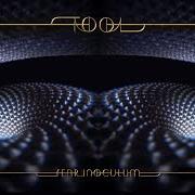Le texte musical DESCENDING de TOOL est également présent dans l'album Fear inoculum (2019)