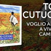 Le texte musical LA FAVOLA DI DEBBY de TOTO CUTUGNO est également présent dans l'album Voglio andare a vivere in campagna (1995)