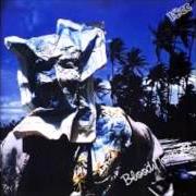 Le texte musical LAST NIGHT de 10CC est également présent dans l'album Bloody tourists (1978)