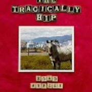 Le texte musical LONG TIME RUNNING de TRAGICALLY HIP est également présent dans l'album Road apples (1991)