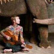 Le texte musical STAND OPEN de TREVOR HALL est également présent dans l'album The elephants door (2007)