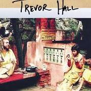 Le texte musical DUST de TREVOR HALL est également présent dans l'album Unpack your memories... (2015)