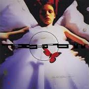 Trick pony Trick pony