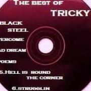 Le texte musical BLACK STEEL de TRICKY est également présent dans l'album Maxinquaye