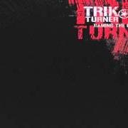 Le texte musical MAGNET de TRIK TURNER est également présent dans l'album Naming the unidentified (2005)