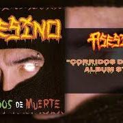 Le texte musical CYKO MATÓN de ASESINO est également présent dans l'album Corridos de muerte (2002)