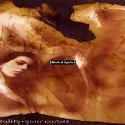 Le texte musical THROUGH THE VALE de ASHEN MORTALITY est également présent dans l'album Your caress (1998)
