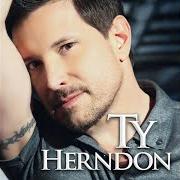 Le texte musical WHATEVER THIS DAY WANTS TO GIVE US de TY HERNDON est également présent dans l'album Lies i told myself (2013)