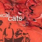 Le texte musical QWELOQUIALLISMS de TYPICAL CATS est également présent dans l'album Typical cats (2001)