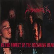 Le texte musical SILENCE ENDS de UNANIMATED est également présent dans l'album In the forest of the dreaming dead (1992)