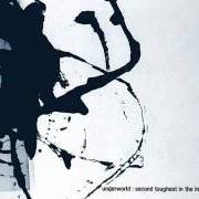 Le texte musical PEARLS GIRL de UNDERWORLD est également présent dans l'album Second toughest in the infants (1996)