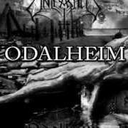 Le texte musical VINLAND de UNLEASHED est également présent dans l'album Odalheim (2012)