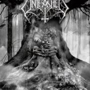 Le texte musical EVIL DEAD de UNLEASHED est également présent dans l'album As yggdrasil trembles (2010)