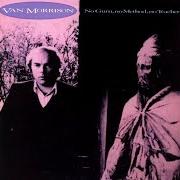 Le texte musical TIR NA NOG de VAN MORRISON est également présent dans l'album No guru, no method, no teacher (1986)