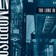 Le texte musical THE LONESOME ROAD de VAN MORRISON est également présent dans l'album Too long in exile (1993)
