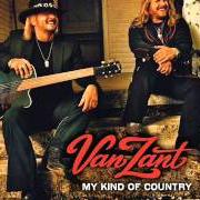 Le texte musical THESE COLORS DON'T RUN de VAN ZANT est également présent dans l'album My kind of country (2007)