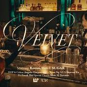Velvet Velvet