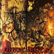 Le texte musical HAMMERING SATANS HEAD de VOMITORIAL CORPULENCE est également présent dans l'album Karrionic hacktician (1995)