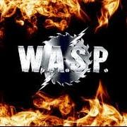 Le texte musical THE FLAME de W.A.S.P. est également présent dans l'album I wanna be somebody (1984)
