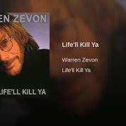 Le texte musical I'LL SLOW YOU DOWN de WARREN ZEVON est également présent dans l'album Life'll kill ya (2000)