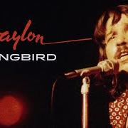 Songbird Songbird