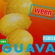 Le texte musical FLIES ON MY DICK de WEEN est également présent dans l'album Pure guava (1992)