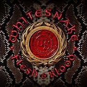 Le texte musical GONNA BE ALRIGHT de WHITESNAKE est également présent dans l'album Flesh & blood (2019)