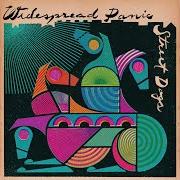 Le texte musical WELCOME TO MY WORLD de WIDESPREAD PANIC est également présent dans l'album Street dogs (2015)