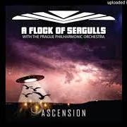 Le texte musical DNA de A FLOCK OF SEAGULLS est également présent dans l'album Ascension (2018)