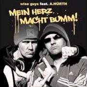 Le texte musical NICHTS (MEINE STRASSEN) de WISE GUYS est également présent dans l'album Mein herz macht bumm! (2013)
