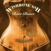 Le texte musical STRANGE AFFAIR de WISHBONE ASH est également présent dans l'album Bare bones (1999)