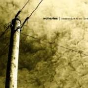 Le texte musical IN THE QUIET OF DAWN de WOLVERINE est également présent dans l'album Communication lost (2011)