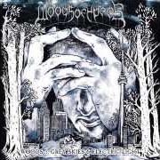 Le texte musical MODERN LIFE ARCHITECTURE de WOODS OF YPRES est également présent dans l'album Woods 5: grey skies & electric light (2012)